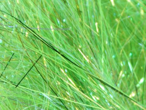 SSS Glitz Dubbing - Hot Greenlander Green