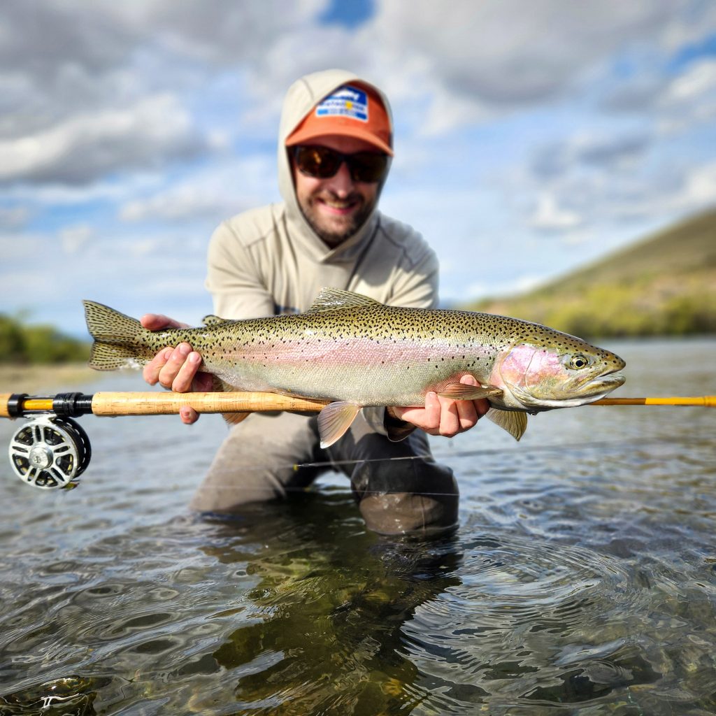 Rainbow Trout - Limay River