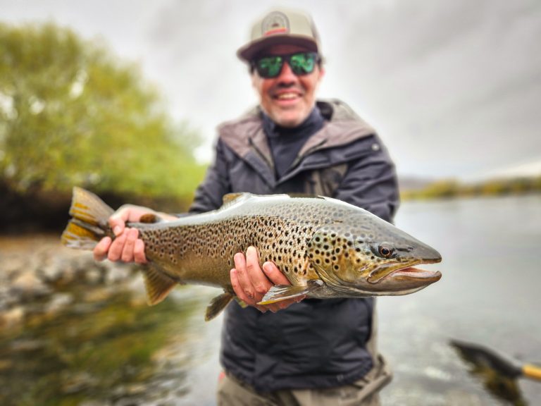 Limay River Brown